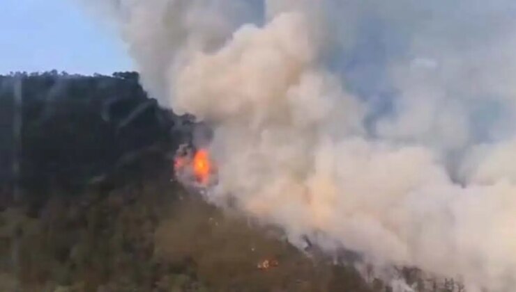 Eskişehir’de orman yangını