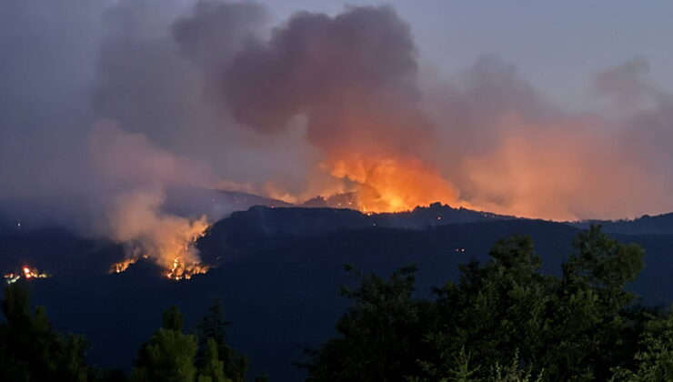 Eskişehir’deki yangında 10 şehit… Tarım Orman-İş Genel Başkanı Yusuf Kurt: ‘Liyakatsizlik sadece ormanları değil, yüreğimizi de yakıyor’