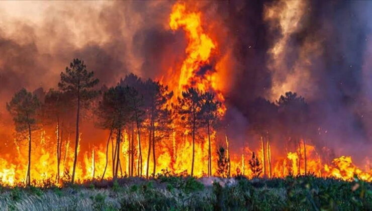 Eskişehir’deki yangında hayatını kaybeden 5 AKUT gönüllüsü için Ankara’da cenaze töreni düzenlenecek