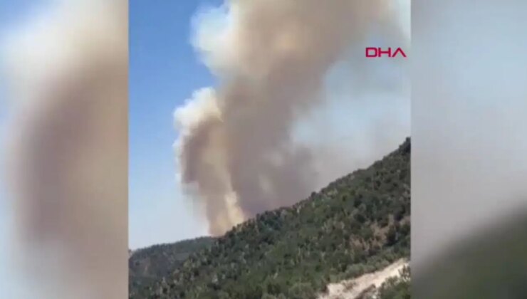 Gabar Dağı’nda orman yangını