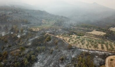 Geyve nerede? Geyve orman yangını söndürüldü mü?