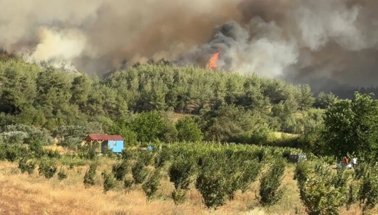 Geyve’de korkutan yangın! Rüzgarın etkisiyle büyüdü…