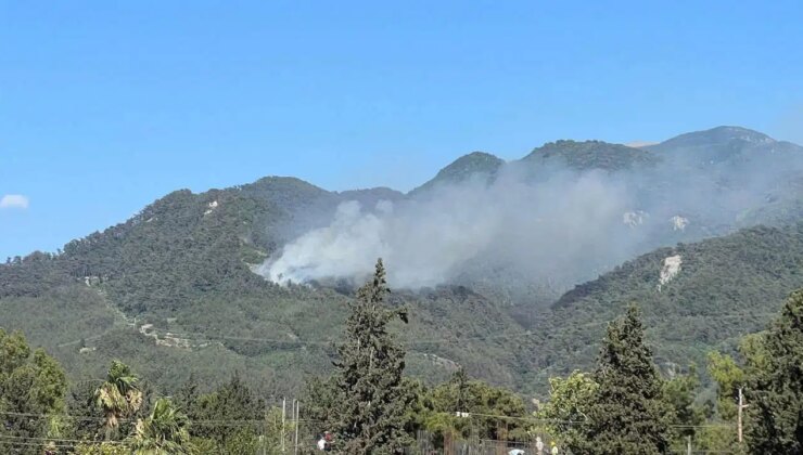 Hatay’daki orman yangınına ilişkin 1 gözaltı