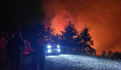 Havai fişek faciası ormanı küle çevirdi | Mahkeme: ‘Ağaç yakan, ağaç diksin’