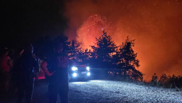 Havai fişek faciası ormanı küle çevirdi | Mahkeme: ‘Ağaç yakan, ağaç diksin’