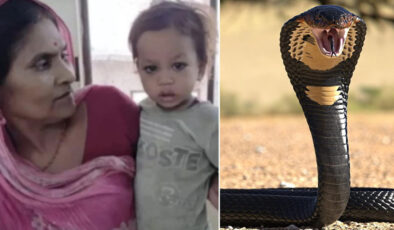 Hindistan’da iki yaşındaki çocuk kobra yılanını ısırarak öldürdü