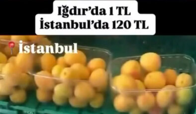“Iğdır’da kayısı 1 TL İstanbul’da 120 TL satılıyor’ iddiasına ceza