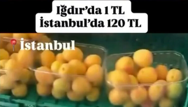 “Iğdır’da kayısı 1 TL İstanbul’da 120 TL satılıyor’ iddiasına ceza