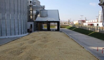 Iğdır’da rekor rekolte: 45 bin tonun üzerinde hasat yapıldı