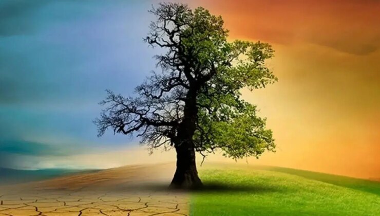 İklim kanunu nedir? İklim yasası maddeleri nelerdir? İklim kanunu neden eleştiriliyor?