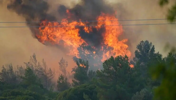 İletişim Başkanlığı açıkladı… Son 10 günde kaç yangın çıktı?