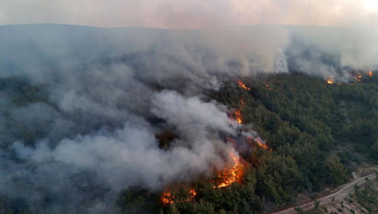 İletişim Başkanlığı’ndan Tekirdağ’daki yangınla ilgili açıklama