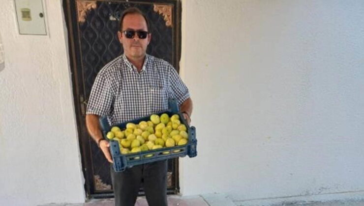 İlk hasat mahsulleri bahçede 200 TL! 100 bin ton rekolte bekleniyor…