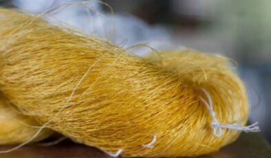 İmparatorların altın ipeği geri döndü: 2 bin yıl sonra yeniden hayat buldu