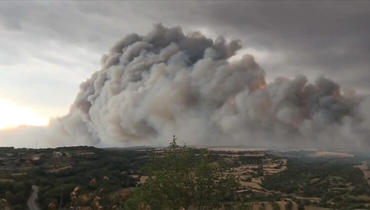 İspanya’da orman yangınları: 6 bin 500 hektarlık alan küle döndü