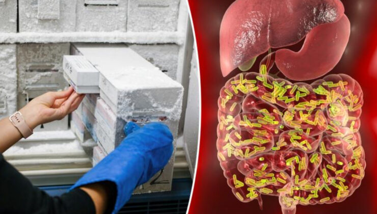 İsviçre’deki bilim insanları insan dışkısını donduruyor