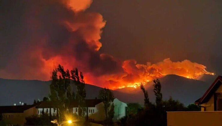 İtfaiye raporu çıktı: Ödemiş’teki orman yangını elektrik tellerinden çıktı