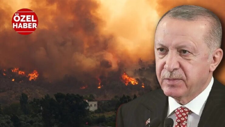 ‘İtibardan tasarruf olmaz’ demişti: Ormana değil Saray’a bütçe! 6 haftalık bütçe ile filo kuruluyor…