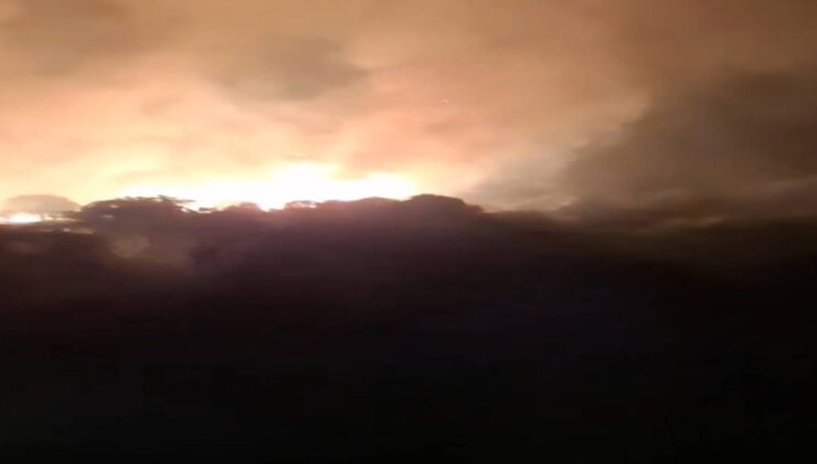 İzmir Dikili’de yangın: 8 saatte kontrol altına alındı!