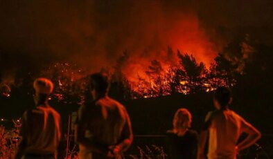 İzmir Valisi orman yangınlarında elektrik dağıtım şirketlerini adres gösterdi, Cumhurbaşkanlığı ‘asılsız iddia’ dedi