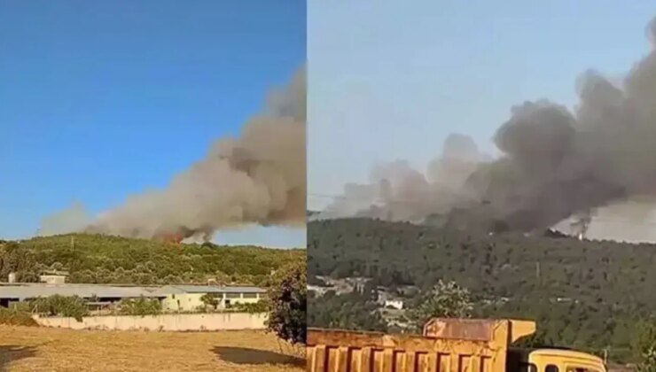 İzmir’de yine orman yangını