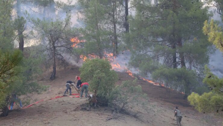 Kahramanmaraş’taki orman yangınında 3. gün: Müdahale sürüyor!