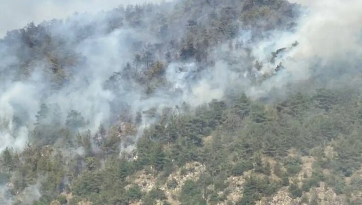 Karabük’te orman yangını