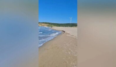 Kocaeli’nde korkunç olay… Engelli kızını kurtaran baba hayatını kaybetti!