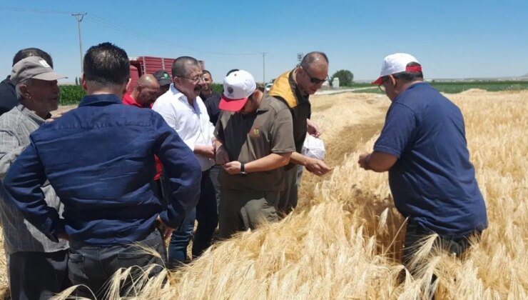 Konya Ovası’nda hasat başladı: ‘Tane tutumu çok iyi’
