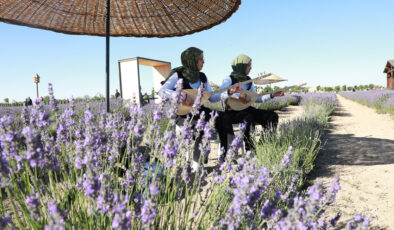 Konya’da Karatay Lavanta Festivali