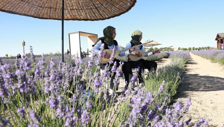 Konya’da Karatay Lavanta Festivali