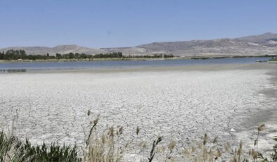 Kuraklık derinleşiyor: Ulaş Gölü’nde sulak alanlar tamamen kurudu