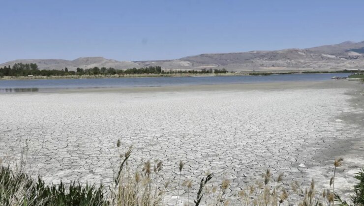 Kuraklık derinleşiyor: Ulaş Gölü’nde sulak alanlar tamamen kurudu