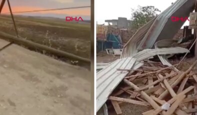 Kuvvetli rüzgar elektrik direğini devirdi: 6 inek akıma kapılıp öldü!