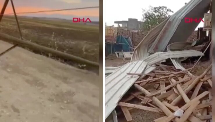 Kuvvetli rüzgar elektrik direğini devirdi: 6 inek akıma kapılıp öldü!