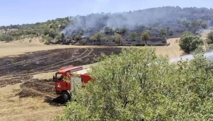 Mardin’de yangın: Ekipler müdahale ediyor!