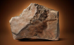 Mars’ın şimdiye kadarki en büyük kayası açık artırmaya çıkıyor