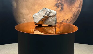 Mars’tan dünyaya düşen en büyük gök taşı rekor fiyata satıldı!
