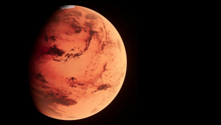 Mars’tan geldiği belirtilen gök taşı 5,3 milyon dolara satıldı