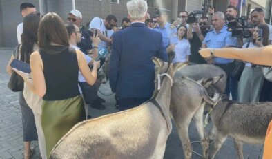 Meclis başkanının seçilememesi ‘eşeklerle’ protesto edildi