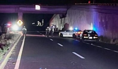 Meksika’da toplu infaz: 5’i başsız 20 erkek cesedi bulundu