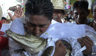 Meksikalı belediye başkanının ilginç düğünü: Timsahla evlendi