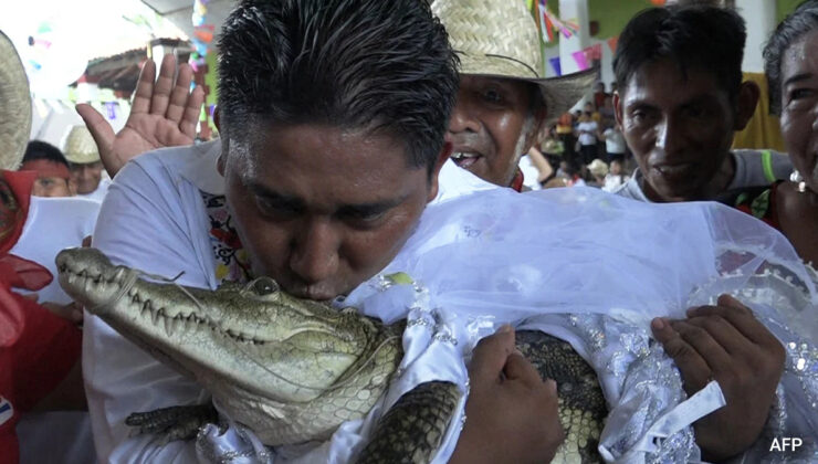 Meksikalı belediye başkanının ilginç düğünü: Timsahla evlendi