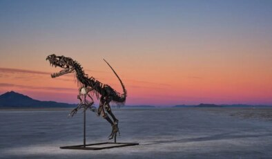 Milyon dolarlık nadir eserler açık arttırmada