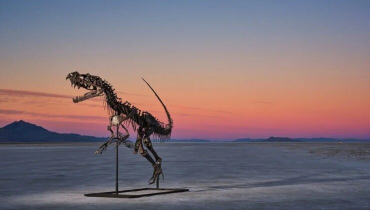 Milyon dolarlık nadir eserler açık arttırmada