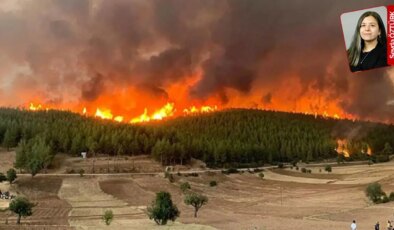 Muğla’da 2021’de yangında kaybedilen alandaki RES projesi onaylandı: 4 bin ağaç kesilecek
