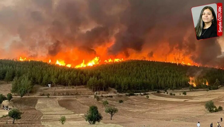 Muğla’da 2021’de yangında kaybedilen alandaki RES projesi onaylandı: 4 bin ağaç kesilecek