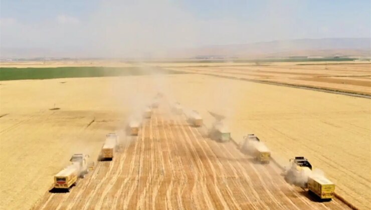 Muş Ovası’nda milyarlık hasat!  2 milyon 100 bin dekar alanda ekildi…