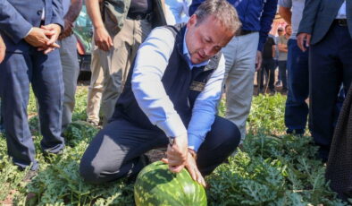 Osmaneli’nin tescilli lezzetinde hasat başladı: Tarlada 1 lira, markette 10 lira…