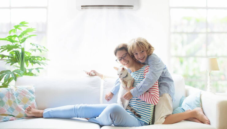 Patili dostlar için serinletici tavsiyeler: Evcil hayvanlarınızı yaz sıcaklarından korumak için 7 etkili yöntem